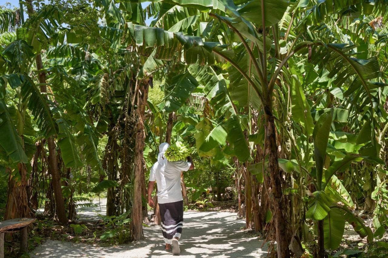 Villa Park Sun Island Resort - Complimentary One Way Domestic Transportation For Stays Of 7 Nights And More 01 April To 30 September 2025 Maamigili Island Ngoại thất bức ảnh